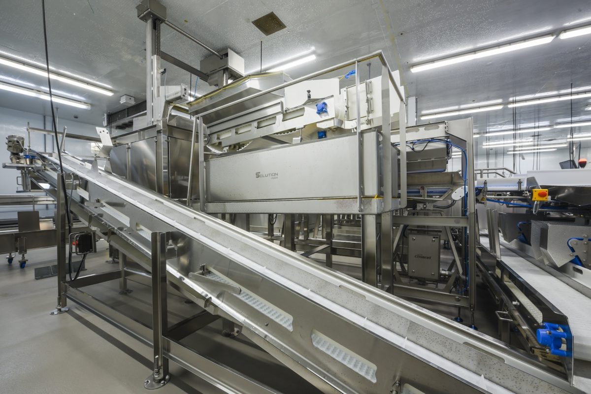 Convoyeur droit et passerelle de maintenance
